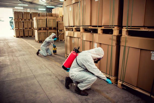 Best Pest Control Near Me  in Graham, NC