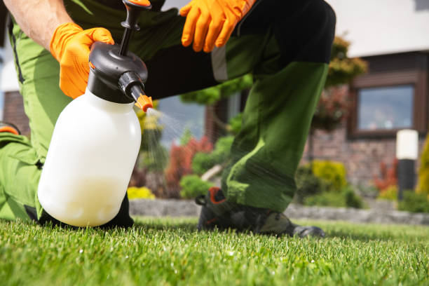 Professional Pest Control in Graham, NC