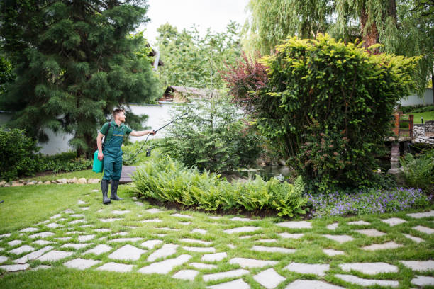Best Ant Control Services  in Graham, NC