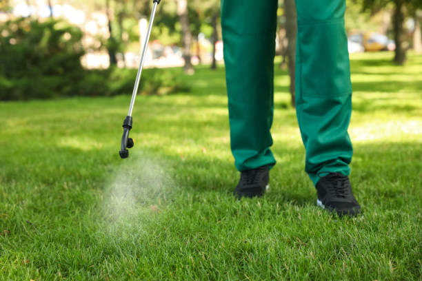 Best Wasp Removal Services  in Graham, NC
