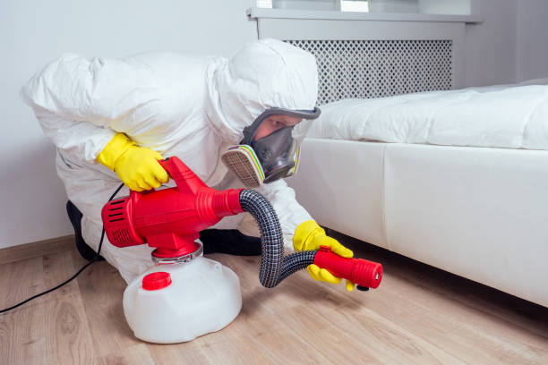 Best Affordable Pest Control Services  in Graham, NC