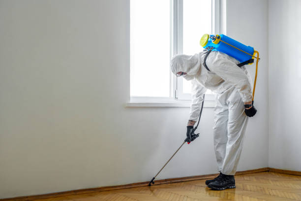 Best Flea Control Services  in Graham, NC