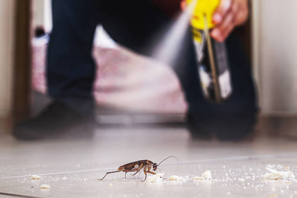 Best Cockroach Control Services  in Graham, NC