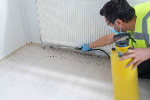 Best Affordable Pest Control Services  in Graham, NC