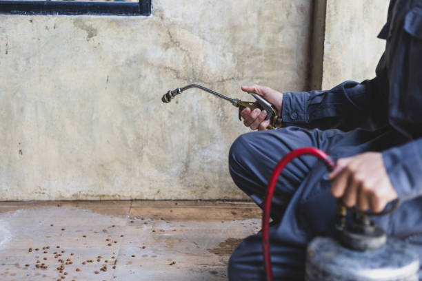 Best Pest Control Near Me  in Graham, NC