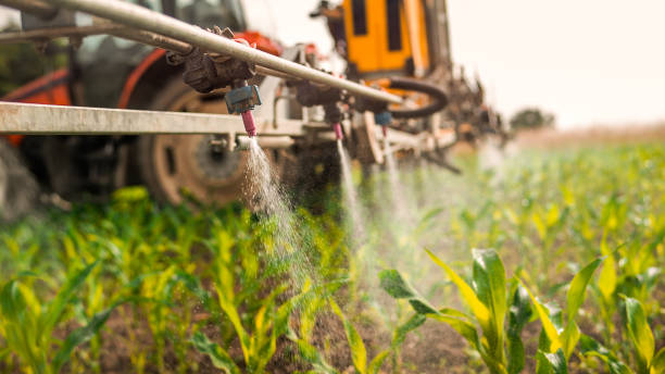 Best Mosquito Control Services  in Graham, NC